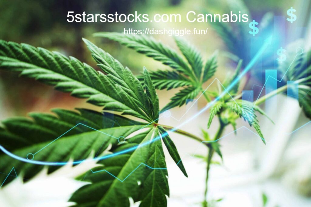Unveiling the Potential of 5starsstocks.com Cannabis: A Game-Changer in the Industry