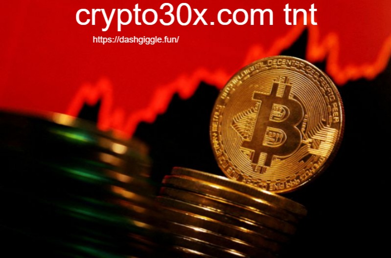 Unveiling the Potential of crypto30x.com tnt: The Future of Trading